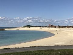 youchanp̔SUNr[`ւ̓eʐ^1