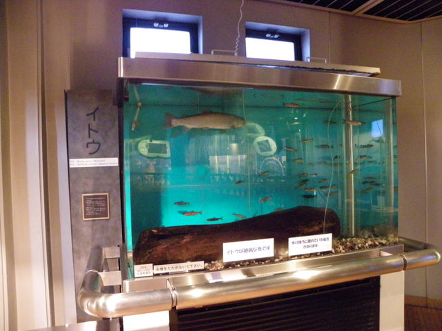 �����Ă���C�g�E_���H�s�����W�]��