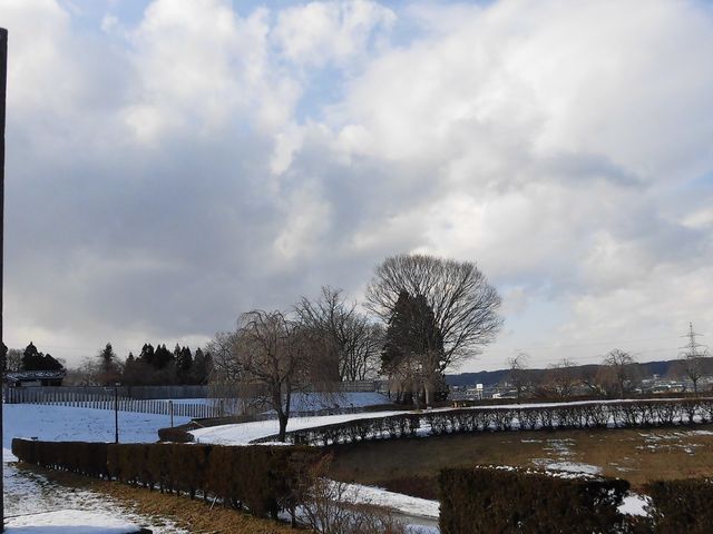 �C_�����