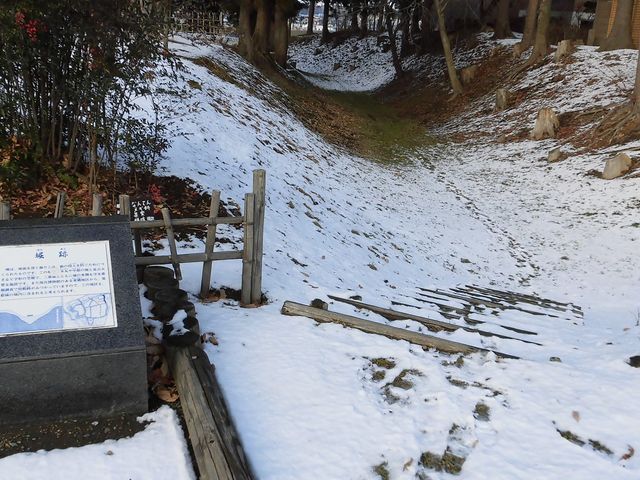 �D_�����