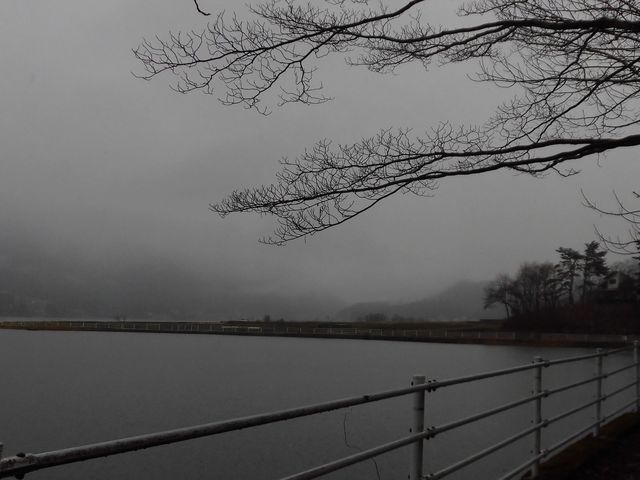 �@_�咬�s�؍��