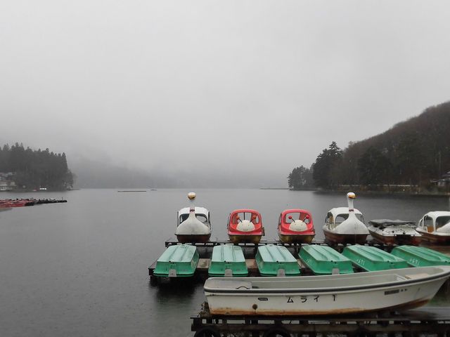 �B_�咬�s�؍��