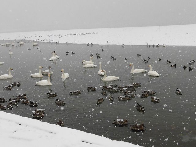 ڂ肳̐󏊊C݂̓eʐ^7