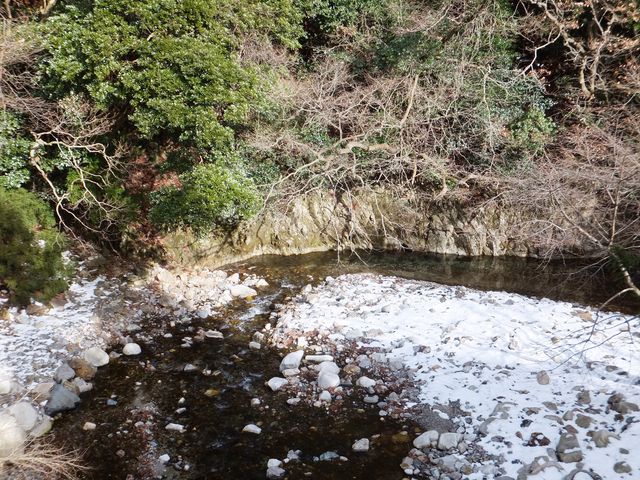 k͓kJ]ށFق̓t߂łB_FkLv