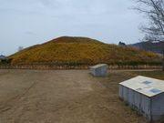 }bN̎jՓm،Õ̓eʐ^2