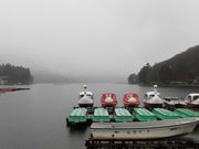 ڂ肳̑咬s؍΂̓eʐ^3