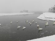 ڂ肳̐󏊊C݂̓eʐ^8