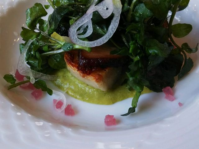 ĂƃJJtꂽCx[Ȓgݍ킹I_~G[ Ci[ Xg [Ro R