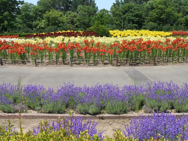 �����ȃ���_�S����������