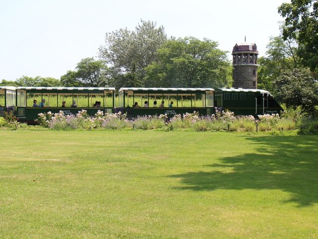 �����[�g���C��_�S����������