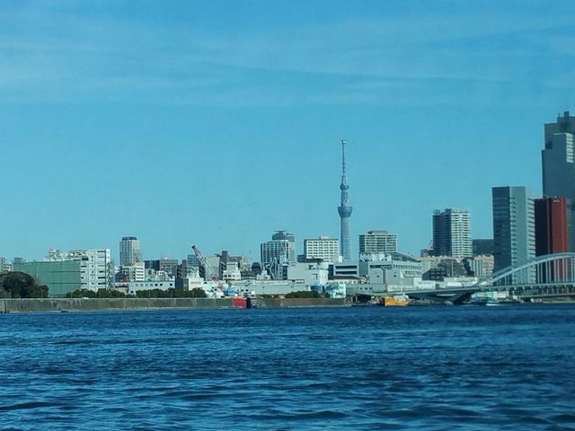 �z�^���i����̌i�F_�����s�ό��D�D