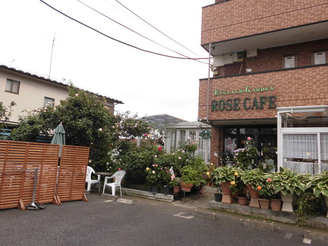 ̍₪Ȃ΁@ƕpɂɒʂ񂾂_dmfkhrgEf`qcdmEqnrdEb`ed