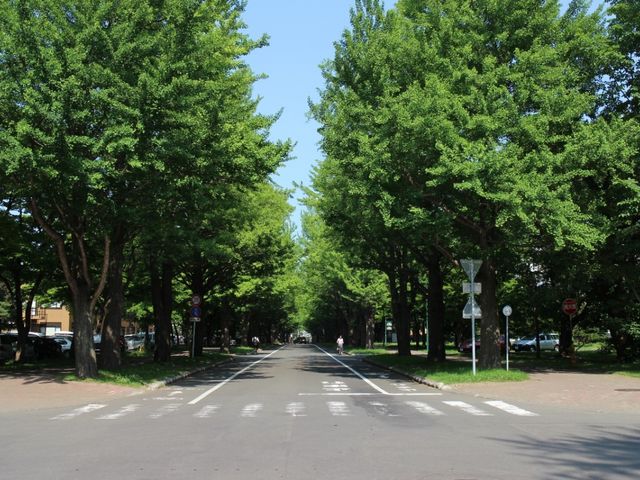 �����ȕ��؂P_�k��C�`���E����