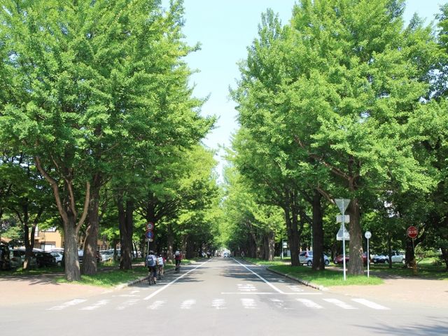 �����ȕ��؂Q_�k��C�`���E����