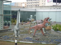 蒲郡市生命の海科学館の写真一覧 - じゃらんnet