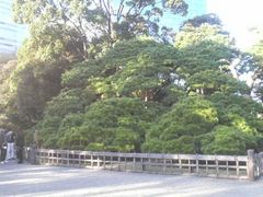 ���Ƃ��񂳂�̎O�S�N�̏��i�l���{�����뉀�j�ւ̓��e�ʐ^1