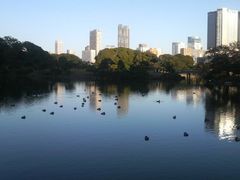 Ƃ񂳂̒̒ril{뉀jւ̓eʐ^3