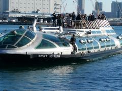 ^񂳂̓sόDDւ̓eʐ^1