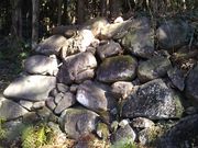 �b�q����񂳂�̖��֏�Ղ̓��e�ʐ^5