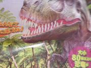 Ⴝ낤َ̌qa X̓eʐ^1