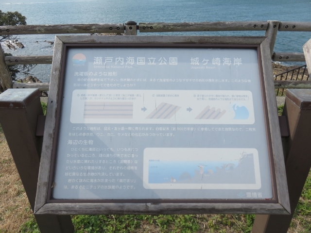 �W����_�����ό�����