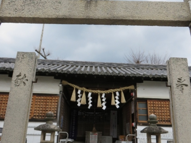 �O��_�����t���_��