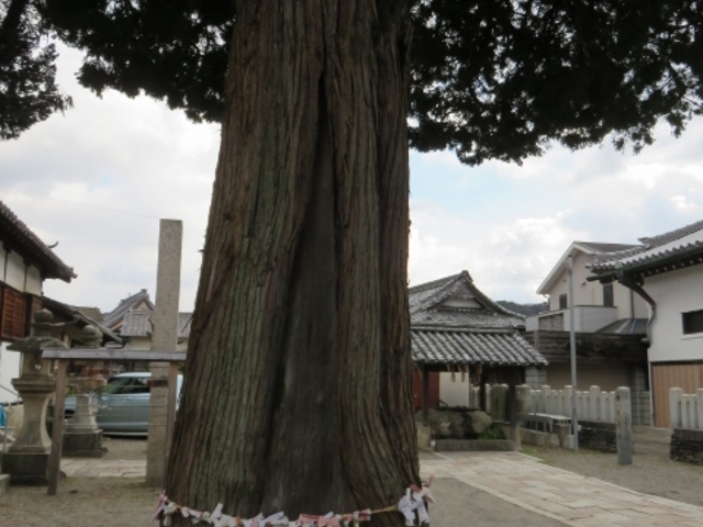 �i�F_�����t���_��