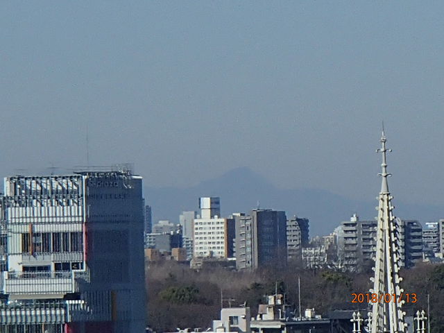 �����猩����R�X_�X�p�C�����r��