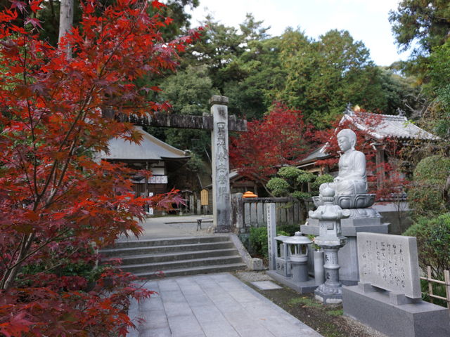 ��2�ԎD���Ɋy��