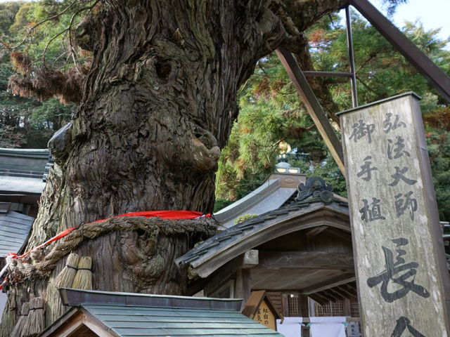 ��2�ԎD���Ɋy��