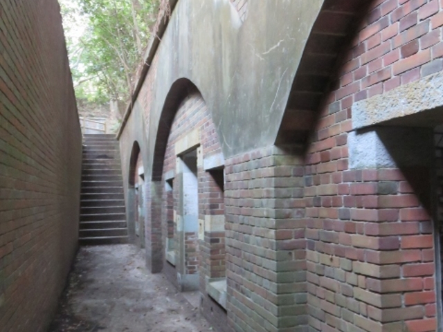 �i�F_�x�ɑ��I�B����