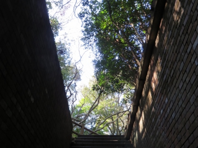 �i�F_�x�ɑ��I�B����