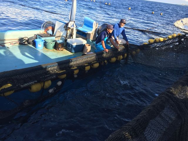 qB(w)A勻łI܂słB_ǒJƋg