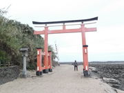 񂳂̐̗NCƊ`gI̓eʐ^3