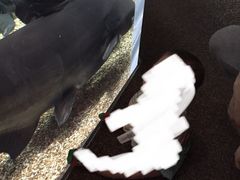 ނ̐EW ANAggӂւ̓eʐ^1