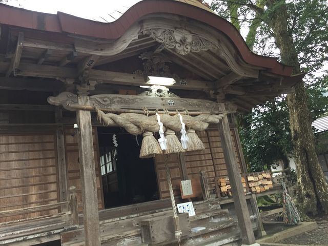 �������܂�_�O���_��