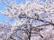 �t���X�s�[�h����̍��R�����i���ꌧ�]�k���j�̓��e�ʐ^1