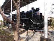 ˂񂳂̑RLOق̓eʐ^5