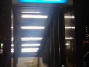 cJ擙X͂̏Zl̃h~mEsUʂX̓eʐ^1