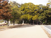 ˂񂳂̍֋{Ղ̓eʐ^4