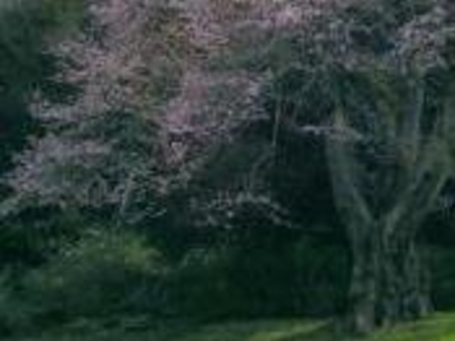 ANZ[JC̋gǂ̃GhqK̓eʐ^1