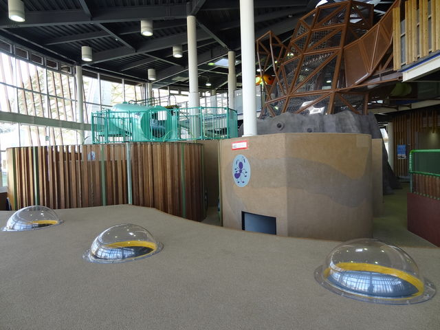 �v���C�n�E�X�̒��@���q�l�ɑ�l�C_�ƃP�r����