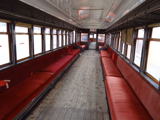 �ԗ��̒��@���ۂɍ���܂�_�ƃP�r����