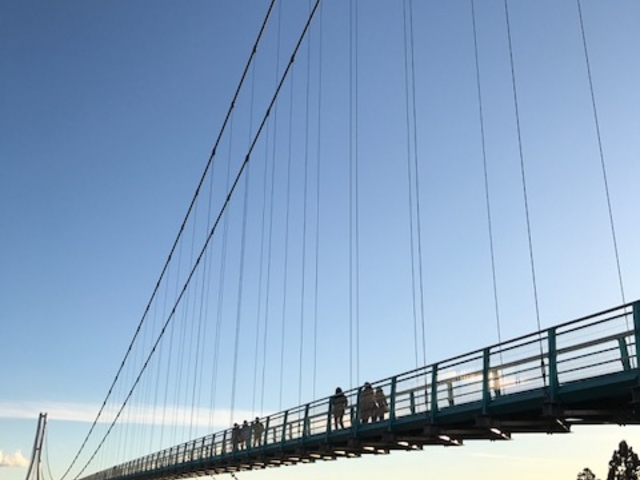 OXJCEH[NňBeB[ꂢłB_ЃGC`EACEGX