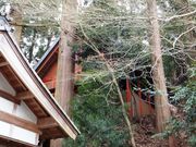 ���ڂ炳��̈��g�_�Ђ̓��e�ʐ^5