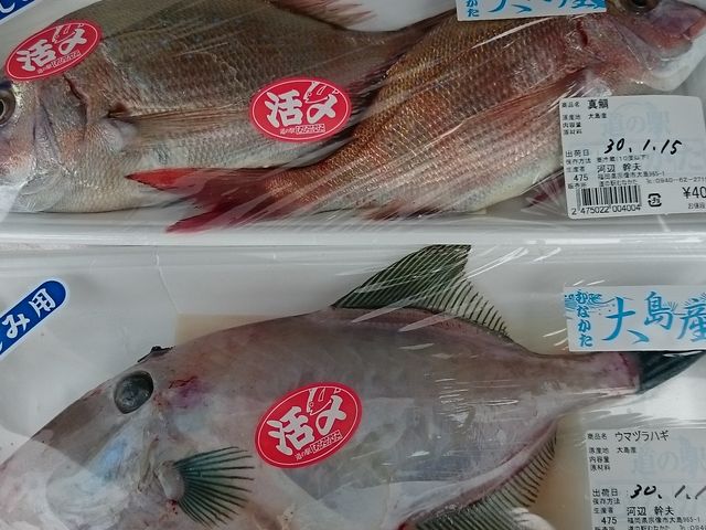 ׂ̓̉wł͐VNȋ𔃂܂_͂܂䂤