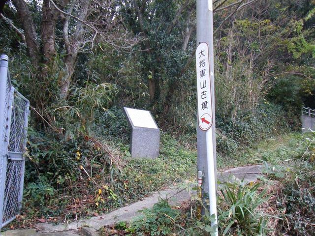 JOE����̑叫�R�R�Õ��̓��e�ʐ^1