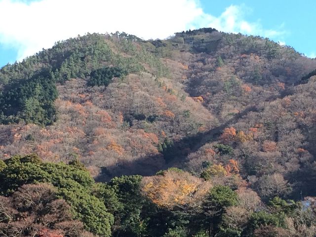 �{��삩�猩�グ���Ƃ���B_�����P�x