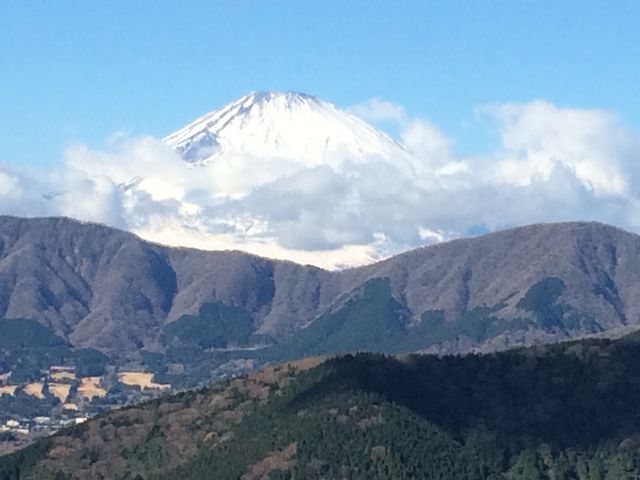 �x�m�R�߂��I_�����P�x