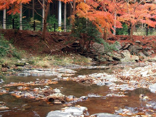 JOȄ㌧т̍gt̓eʐ^1